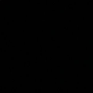 Meet your Posher, Lily